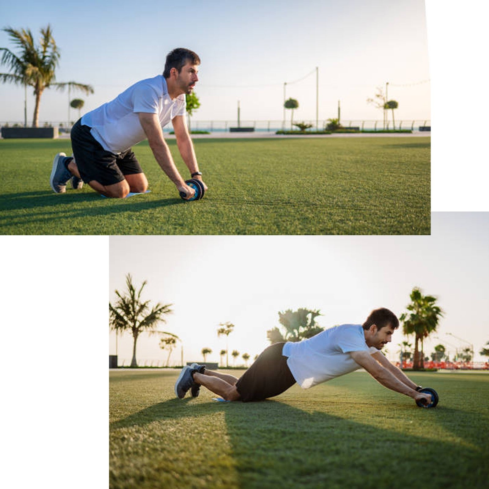 Abdominal Exercise Ab Roller Wheel Strength Training Workout Home Gym Foam Abs